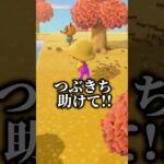 はじめて蜂と遭遇した時の対応 #あつ森 #shorts