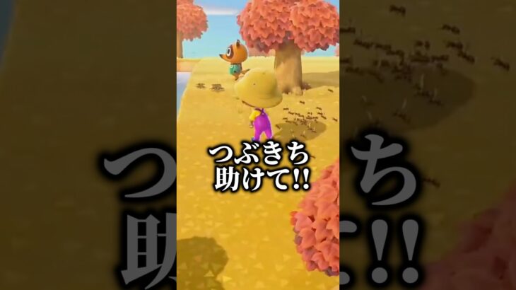 はじめて蜂と遭遇した時の対応 #あつ森 #shorts
