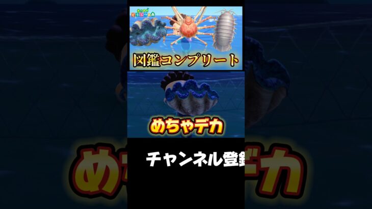 これを売れば今月生活していける！【あつ森】【あつまれどうぶつの森】 #あつ森 #あつまれどうぶつの森 #どうぶつの森 #ゲーム実況 #ゲーム #shorts