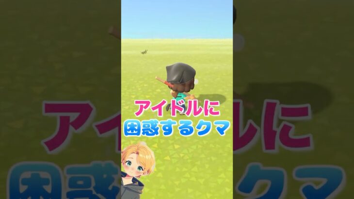 【あつ森】爆弾トーク連発のアイドルネコにタジタジなクマ住民🐻#shorts