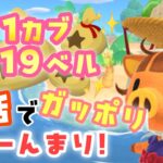 【あつ森】カブで荒稼ぎできると聞いてこんにちわ【参加型】　#あつ森　#カブ価　#参加型　#生配信　#参加型　#shorts