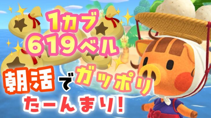 【あつ森】カブで荒稼ぎできると聞いてこんにちわ【参加型】　#あつ森　#カブ価　#参加型　#生配信　#参加型　#shorts