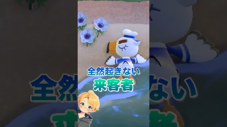 【あつ森】　全然起きない来客者🐦#あつ森shorts