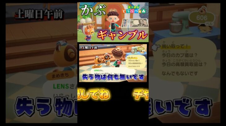 カブはロマンだな【あつ森】【あつまれどうぶつの森】 #あつ森 #あつまれどうぶつの森 #どうぶつの森 #ゲーム実況 #ゲーム #shorts