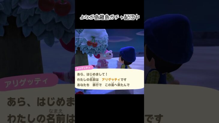 ワニャンとはいったい…？#あつ森 #shorts