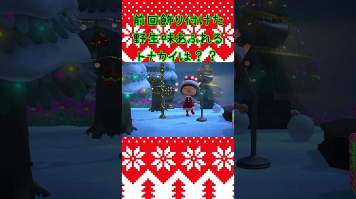 【あつ森】ジャングリアクリスマスの飾り付けどうなった？！★ #shorts