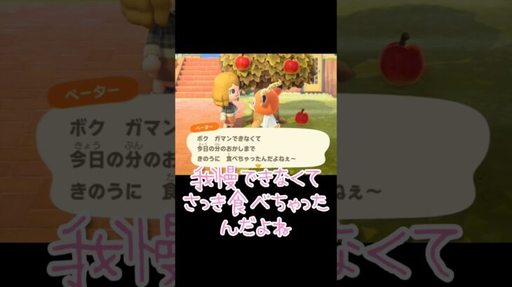 昨日食べちゃったんだね【あつまれどうぶつの森】#あつ森 #ゲーム実況 #shorts