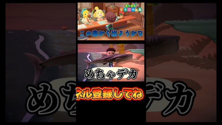 出直してきなさい。【あつまれどうぶつの森】【あつ森】 #あつ森 #あつまれどうぶつの森 #どうぶつの森 #ゲーム実況 #ゲーム #shorts