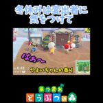 クリスマスイブも絶好調！【あつ森】#shorts