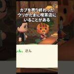 【あつ森】退勤後のウリ #あつ森 #プチ知識 #ゲーム #どう森 #shorts #animalcrossing