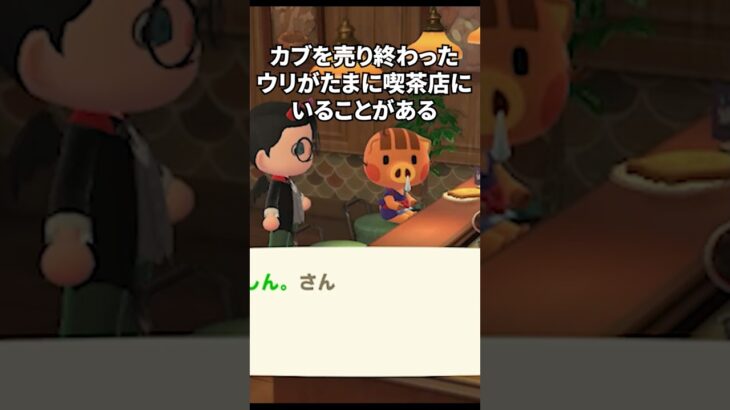 【あつ森】退勤後のウリ #あつ森 #プチ知識 #ゲーム #どう森 #shorts #animalcrossing