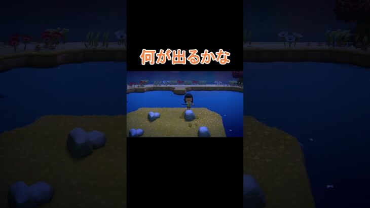 離島旅行【あつ森】 #shorts #あつ森 #あつまれどうぶつの森 #animalcrossing #animalcrossingnewhorizons #acnh #switch