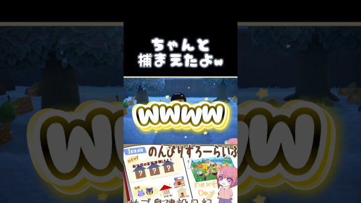 【あつまれどうぶつの森】ハチとの戦歴　#あつ森 #shorts #short #あつまれどうぶつの森 #配信切り抜き