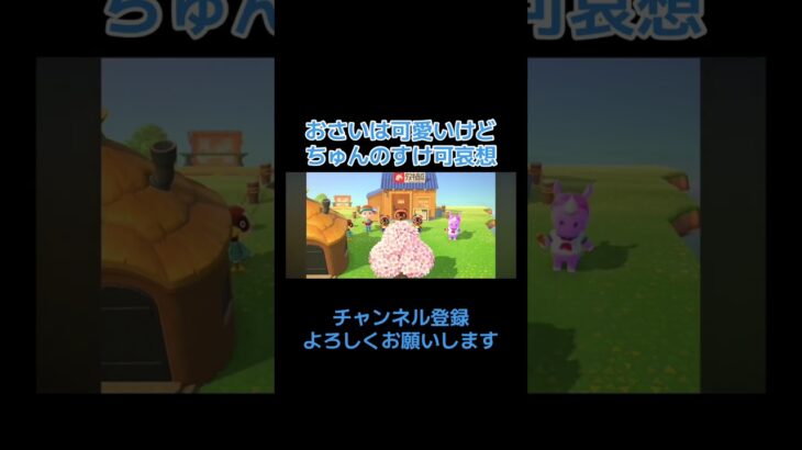 チャンスなのに見えない！？ #shorts #short #あつ森  #nintendo #ゲーム実況 #百鬼夜行 #島 #animals #思い出 #tiktok #バズれ #tree #おすすめ