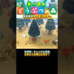 あつ森あるある① #shorts #あつ森 #switch2 #イノケメ