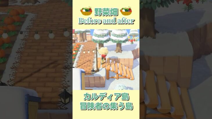 【あつ森】島の食料問題を解決！野菜畑のビフォーアフター【セナリア】#shorts #あつ森 #vtuber