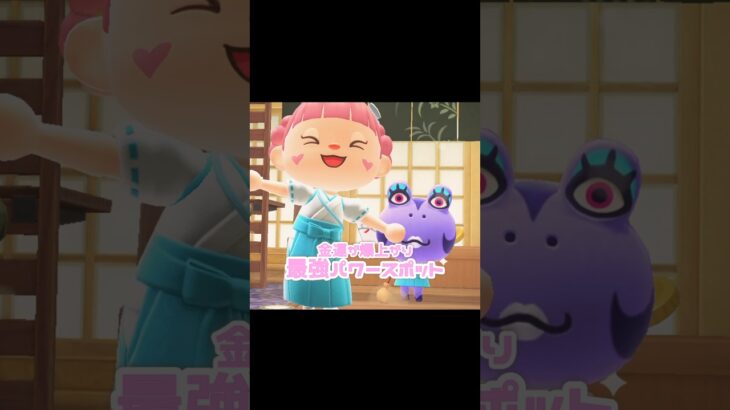 たぬきちさんもここの常連らしい…？！？！#あつ森 #どうぶつの森 #あつまれどうぶつの森 #どう森 #shortvideo #shorts #short #ハピパラ #アイーダ