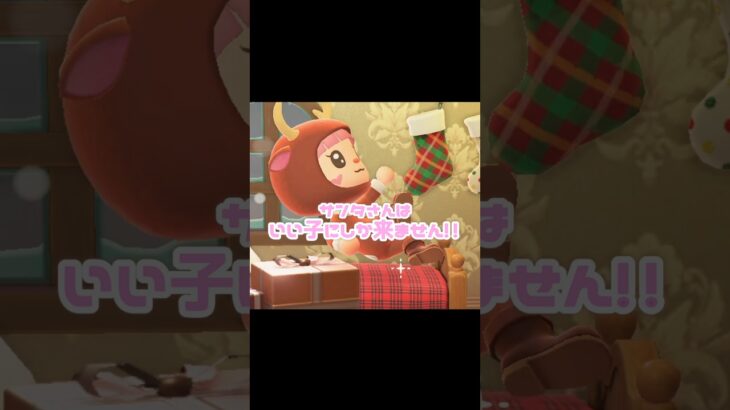 クリスマスなかべかけソックスが多すぎる…？！？！#あつ森 #どうぶつの森 #あつまれどうぶつの森 #どう森 #shortvideo #shorts #short #クリスマス #ジングルの写真