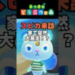 【あつ森小ネタ】可愛いスピカが遊びに来た結果…意外すぎる行動連発‼🤣#shourts  #あつまれどうぶつの森 #あつ森#どう森#スピカ