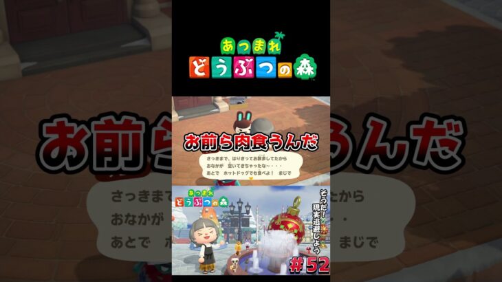 【あつまれ どうぶつの森】草食動物なのにホットドッグ！？#ゲーム実況 #switch  #あつ森 #どうぶつの森 #あつまれどうぶつの森 #shorts  #switch2