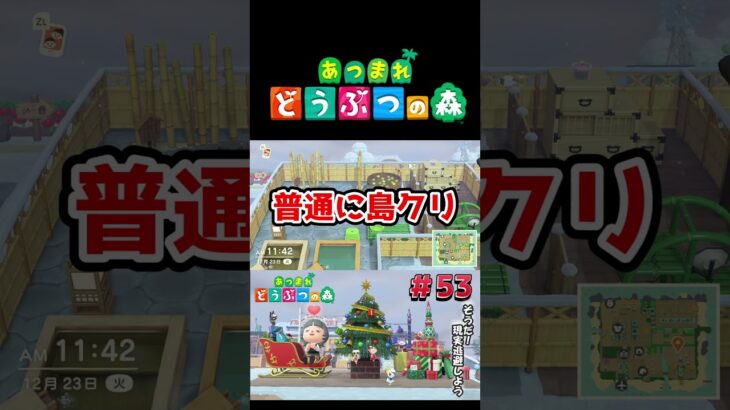【あつまれ どうぶつの森】島クリスマス！#ゲーム実況 #switch  #あつ森 #どうぶつの森 #あつまれどうぶつの森 #shorts  #switch2