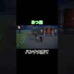 ハチに追われて　#あつ森 #あつまれどうぶつの森 #あつ森switch #switch #nintendo