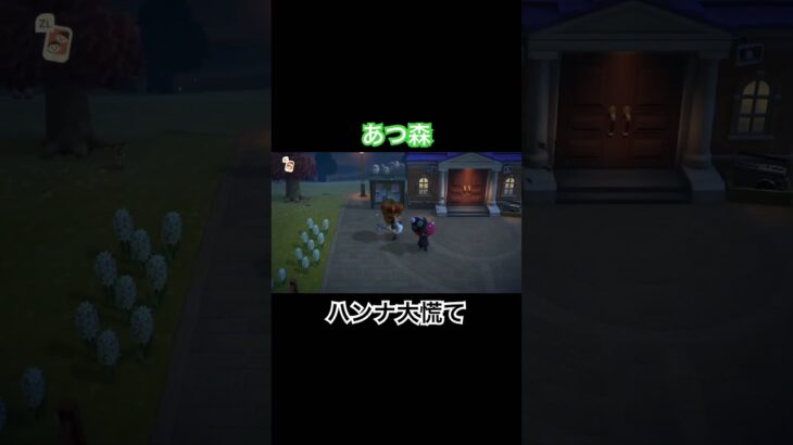 ハチに追われて　#あつ森 #あつまれどうぶつの森 #あつ森switch #switch #nintendo