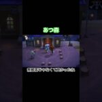 ライブにて　#あつ森 #あつまれどうぶつの森 #あつ森switch #switch #nintendo