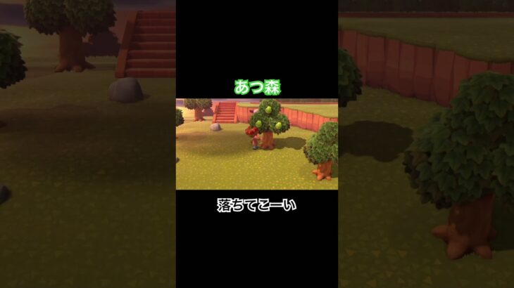 バグ　#あつ森 #あつまれどうぶつの森 #あつ森switch #switch #nintendo