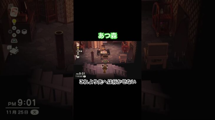 立ちはだかる者　#あつ森 #あつまれどうぶつの森 #あつ森switch #switch #nintendo