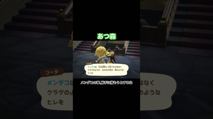 フータひどいぞ　#あつ森 #あつまれどうぶつの森 #あつ森switch #switch #nintendo