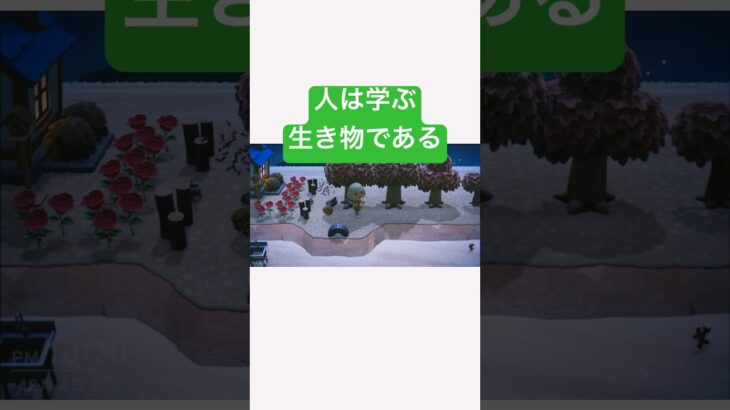 【 あつ森 】人は学ぶ生き物であることの証明(？)