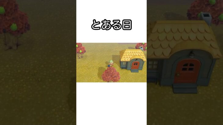 【あつ森】住民にイタズラをしてみた時の様子。