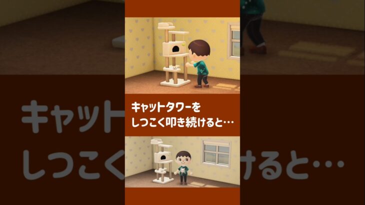 【あつ森】キャットタワーをしつこく叩き続けると……【小ネタ】【あつまれ どうぶつの森】#あつ森 #あつまれどうぶつの森