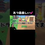 フルは下のリンクから！！#あつまれどうぶつの森 #あつ森 #ゆきドラ