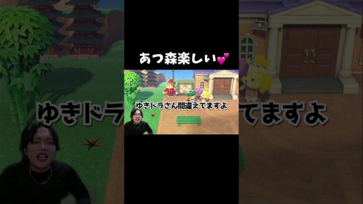 フルは下のリンクから！！#あつまれどうぶつの森 #あつ森 #ゆきドラ