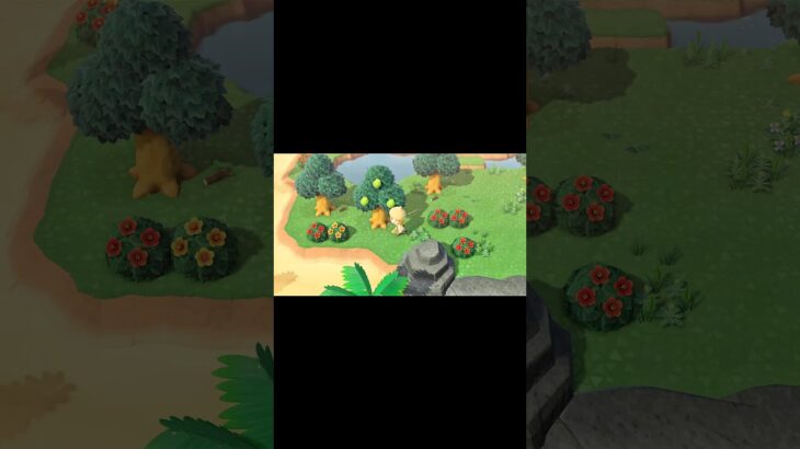 これは…？🎣#あつ森 #あつまれどうぶつの森 #どうぶつの森 #釣り #魚