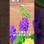 【あつ森】ムシ図鑑│カマキリ