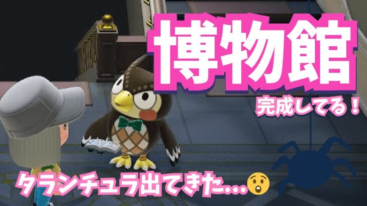 【あつ森】博物館がついに完成！✨＆セレモニーにも参加してきた！