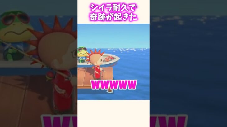 えぇ！？レア魚耐久が即終了！？！？【あつ森】