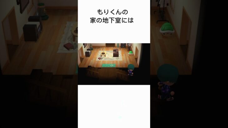 もりくんの家の地下室には…#あつ森 #ホラー