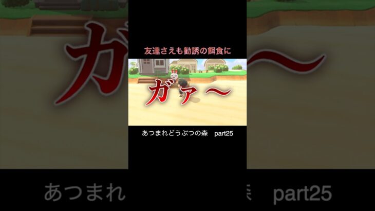 お土産チョコレートの正体　#ゲーム実況 #ゲーム #あつ森 #あつまれどうふつの森 #ハッピーホームパラダイス