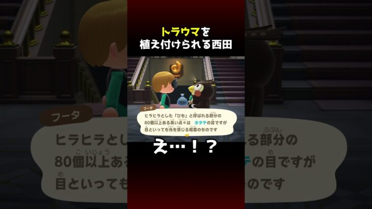 【あつ森】ホタテの雑学がヤバすぎてトラウマになる西田