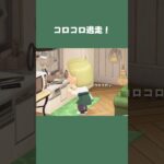 【あつ森】まな板から大脱走⁈コロコロ逃げる食材たち🤣