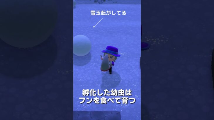 【あつ森】ムシ図鑑│フンコロガシ💩