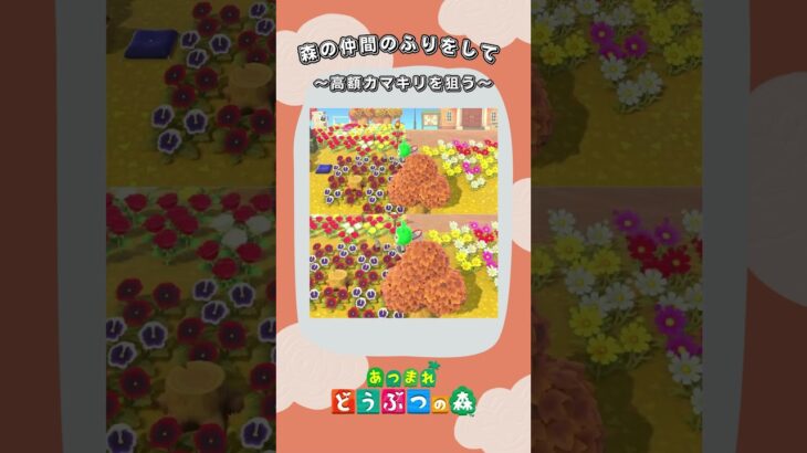 【あつ森】リアルの虫は嫌いだ#あつ森 #あつまれどうぶつの森 #ゲーム #ゲーム実況