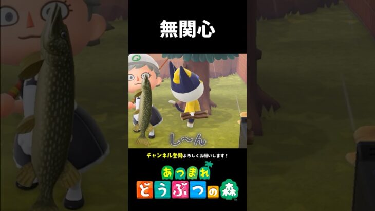 【あつ森】みんな俺に興味無いらしい