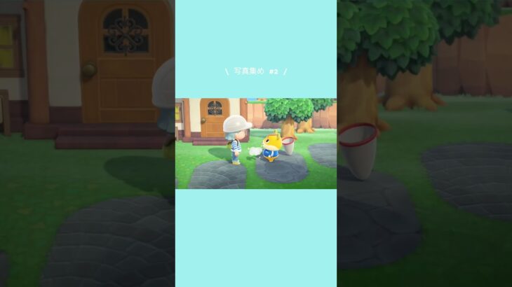 あつ森丨これだからやめられません…🖼️