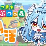 【あつ森/朝活】毎週恒例！癒しの森🍀金欠で島クリが進まない！！【初見さん歓迎】