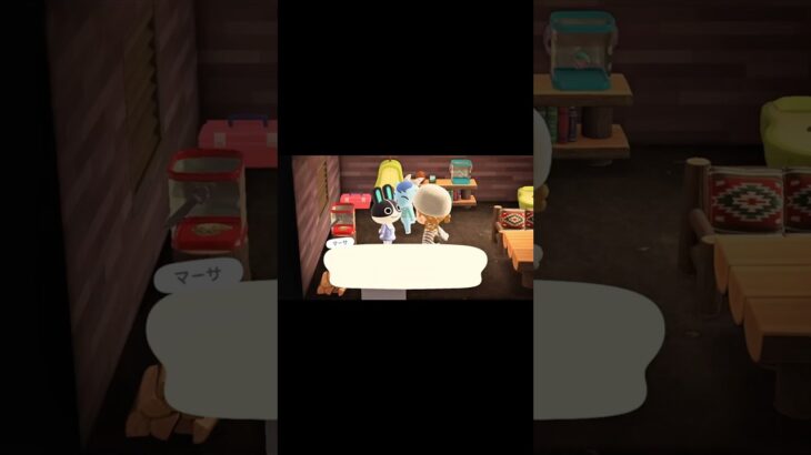 朝から癒された💭☺️#あつ森 #あつまれどうぶつの森 #癒し #あつ森住民 #可愛い